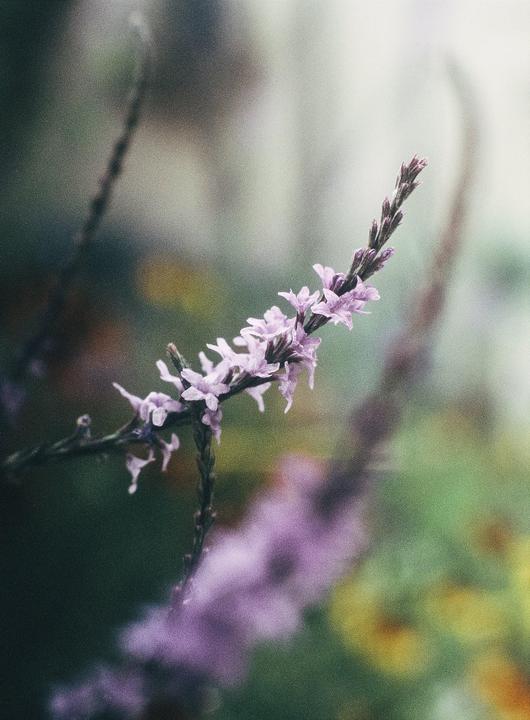 San Diego | Olympus Pen FT | Olympus 40mm f/1.4 | Fujifilm Provia 100F