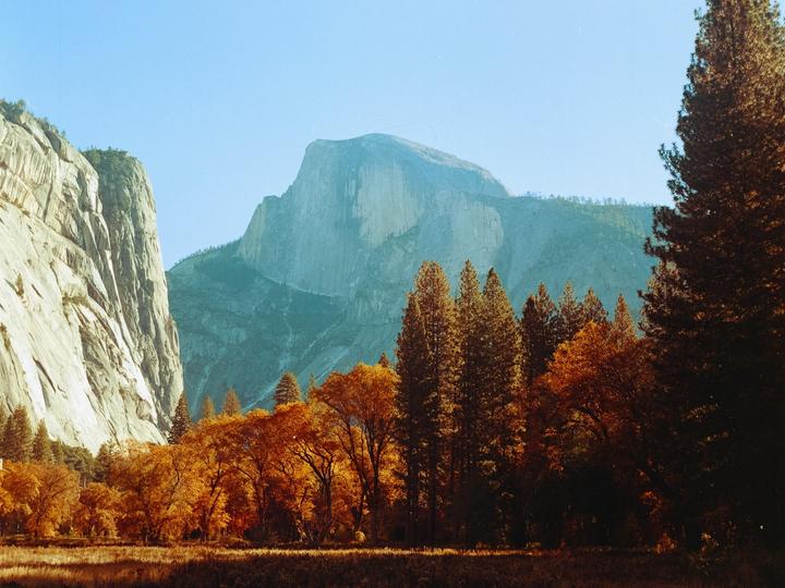 Yosemite in Autumn (Kodak Gold 200, Mamiya 645 1000s, 80mm 2.8)