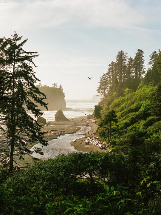 Ruby Beach, Again [500CM, 80 2.8, Portra 400]