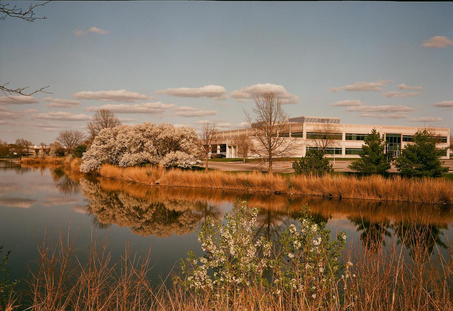 image 36274 by Matte-Print-126