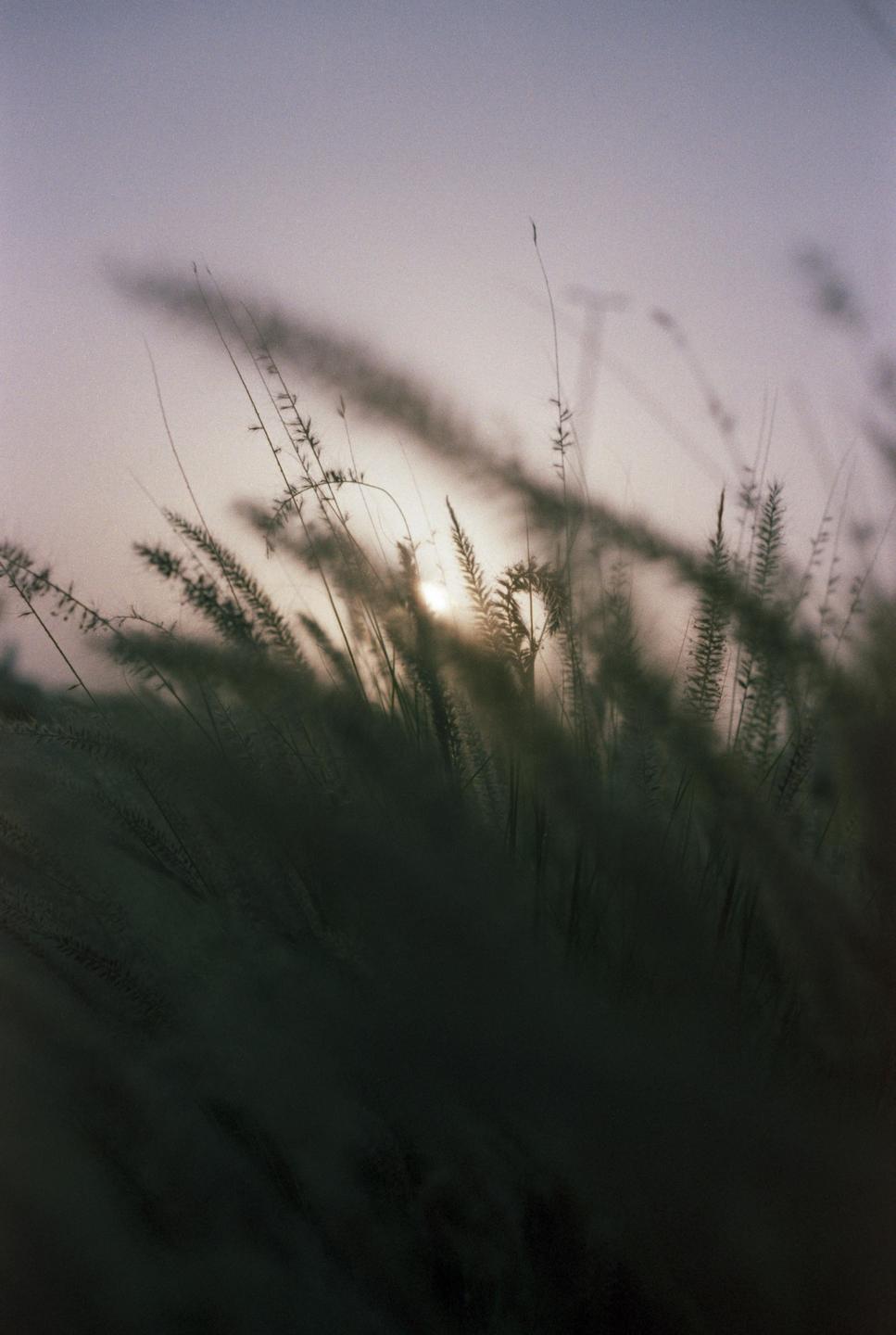 image 34091 by offtothemoon_