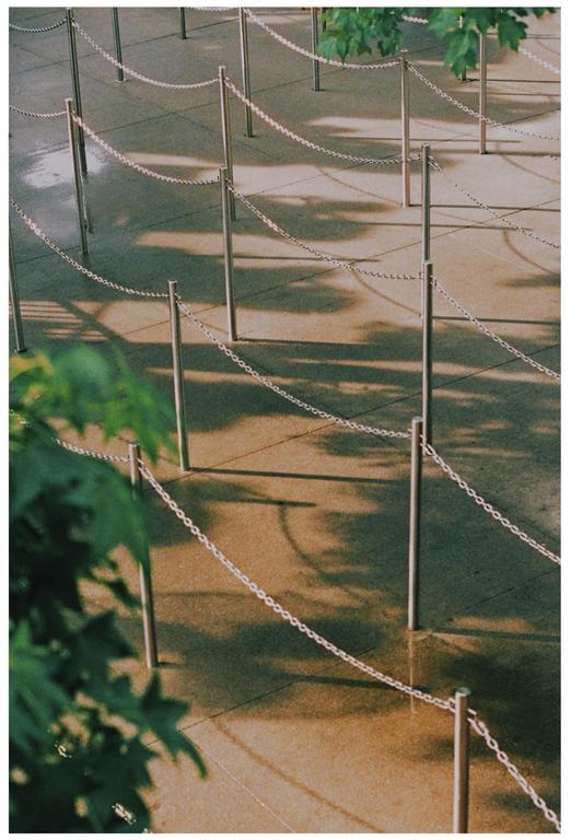 5 min wait [Pentax K1000, SMC 50 f2, Kodak Gold], shot on pentax k1000 with kodak gold 200