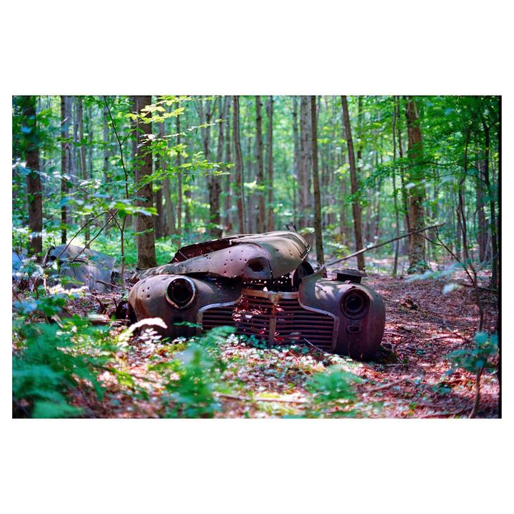 A rusted, bullet-riddled vehicle is abandoned in a forest.