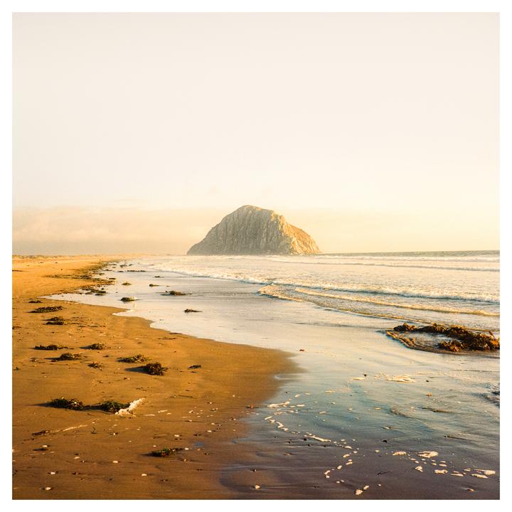 Golden Morro Bay || Mamiya 6 || 75mm 3.5 || Portra 800
