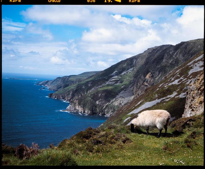 Some of my favorite frames from Ireland [Pentax 6x7, 105 2.4, Provia 100f, 800T, & Gold]