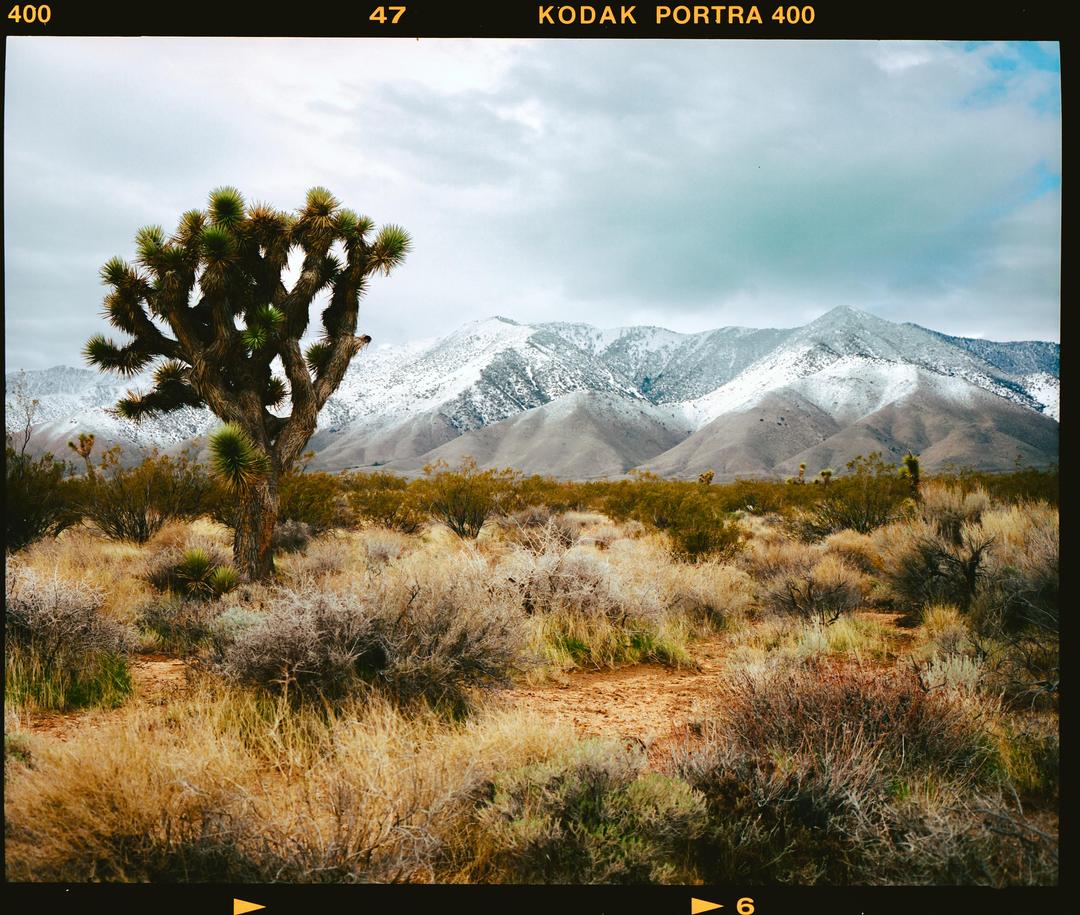 image 36281 by 26Point2