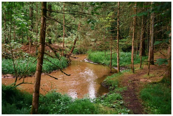 recent hike (Nikon S3 2000 + Zeiss Biogon 35mm 2.8, Fujicolor 100)