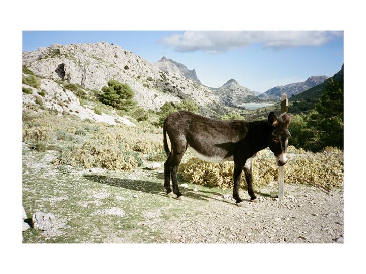 we´ve been doing a lot of hiking all over europe lately and usually i got my XA and my Bronica with me / Olympus XA - Bronica SQA / mostly Portra 400