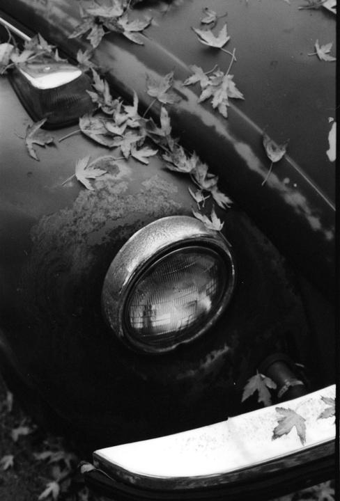 "Iconic" [Nikon F - Nikkor 50mm F/1.4 - Rollei Retro 400s] - Curious about photo order and or if I have too many photos