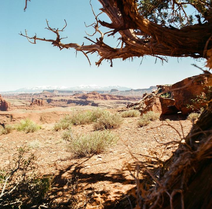 Driving White Rim Road (Hasselblad 500c, 50mm f/4, Gold 200)