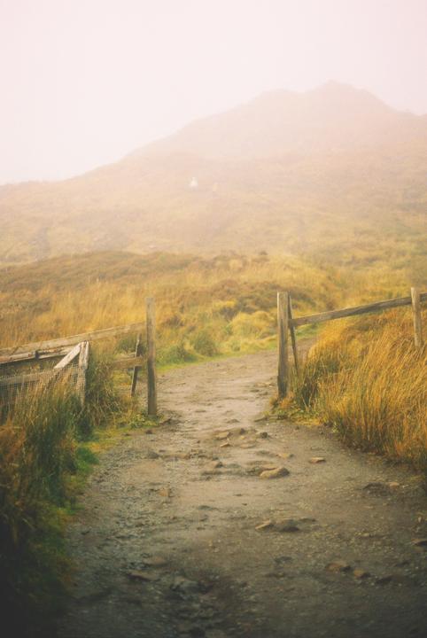 A few from a fall visit to Scotland [Canon A1, 50mm f/1.8, Portra 800]