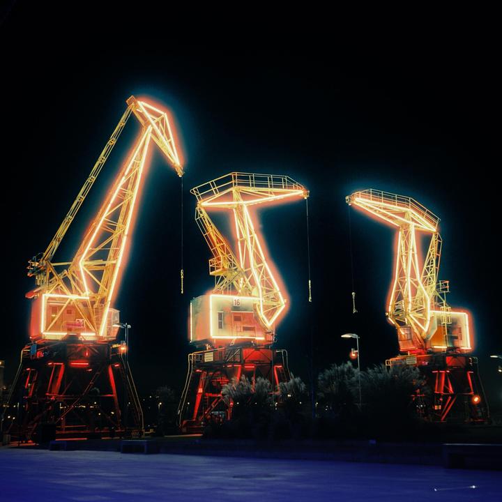 Dźwigozaury (Cranesaurs) | Flexaret VI 80mm f3.5 | 800T