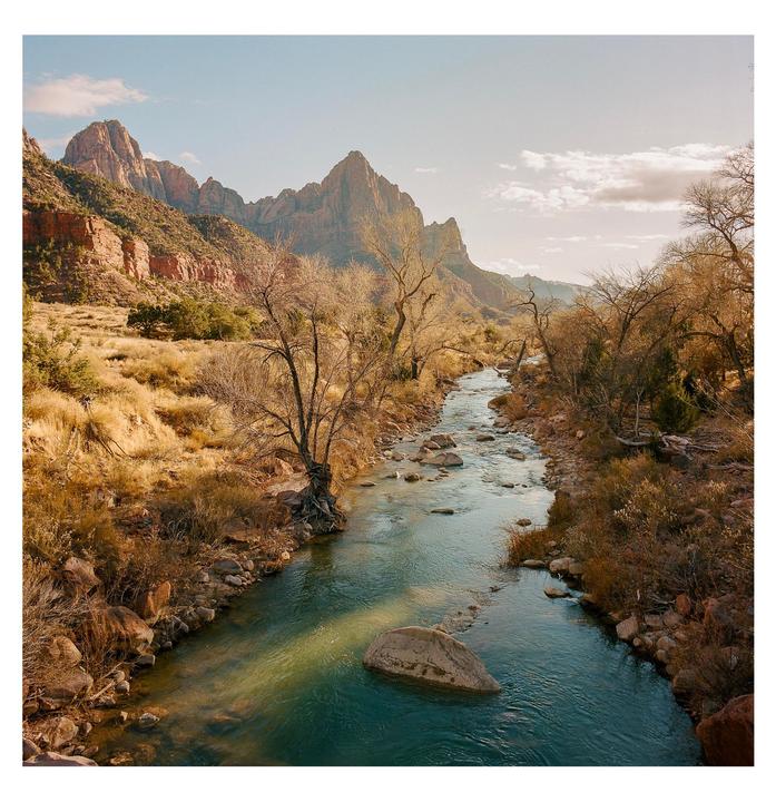 Overlooking the Virgin River [Hasselblad 500C/M, 50mm f/4, Portra 400]