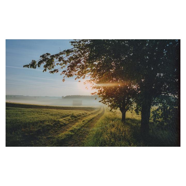 My first book | Leica M6 + MP + Elmarit 28 | Portra 400