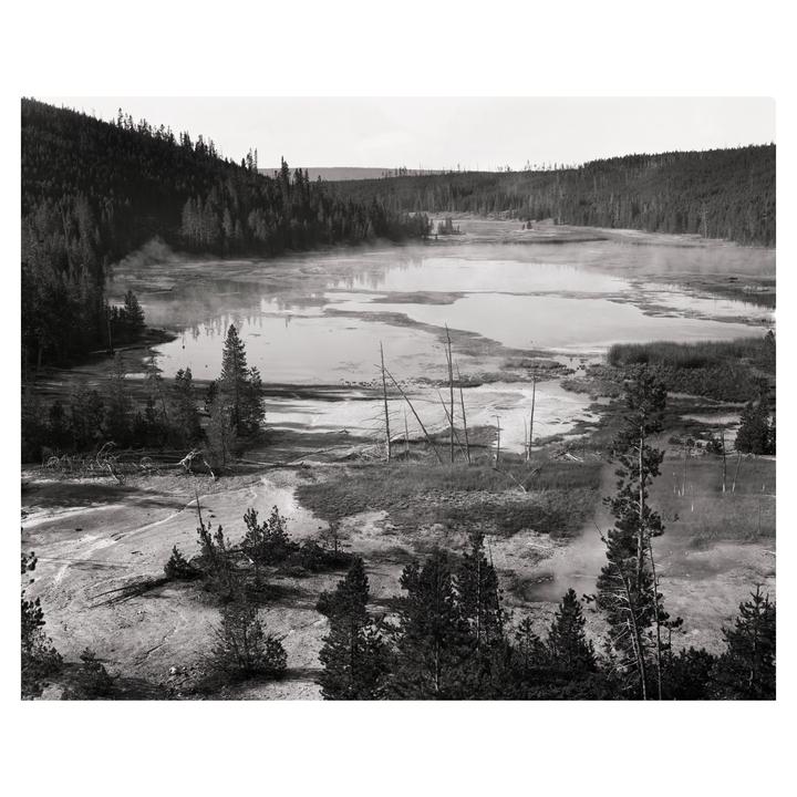 Nymph Lake || 8x10 Ortho 80, Ilfotec DD X