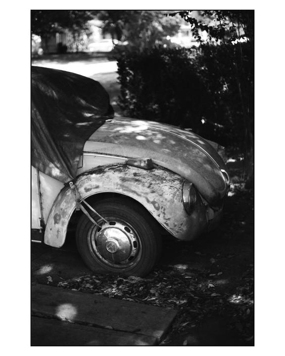 A partially covered, weathered car is parked on a leafy surface next to a bush.