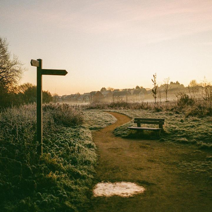 Around the UK [Canon AE-1 + Kodak Gold and Colorplus]