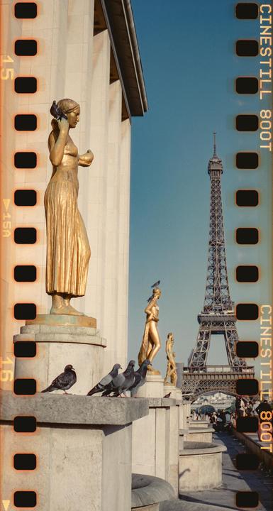 Paris · Mamiya 7ii 80MM · Cinestill 800T