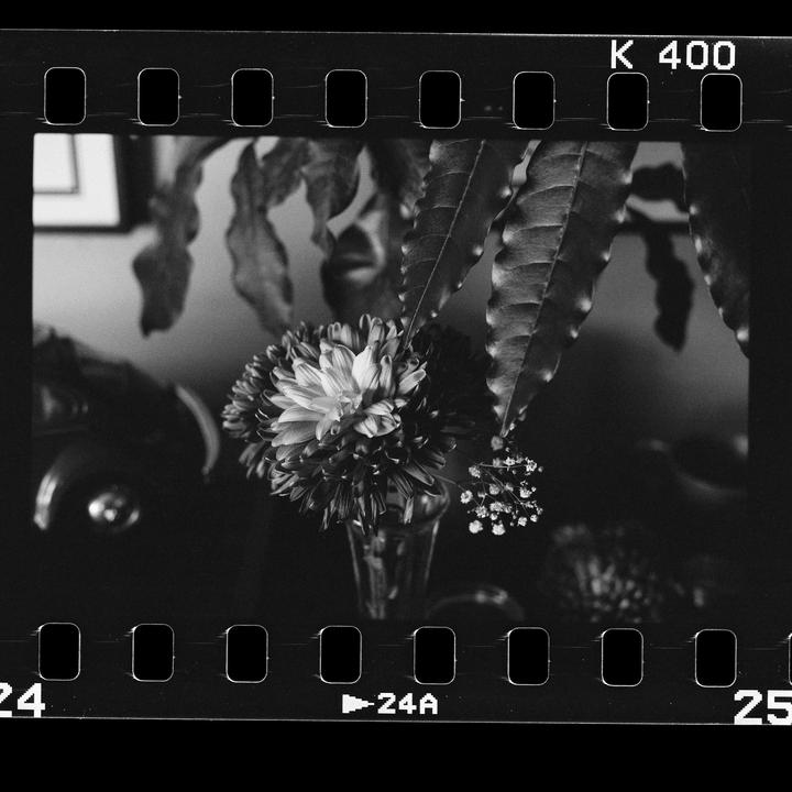 Pushed Kentmere 400 +2 to 1600, was not disappointed | Canon AE-1 Program