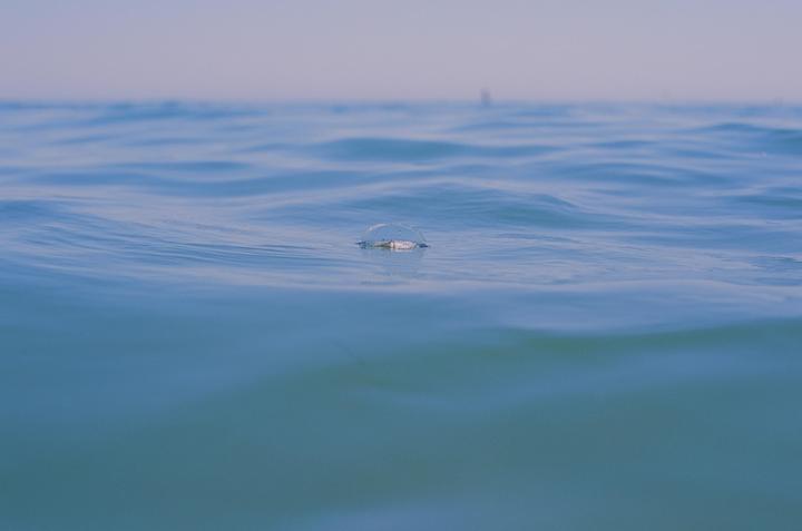 Beach day. Provia 100F Nikon F4 Nikkor 50mm 1.4