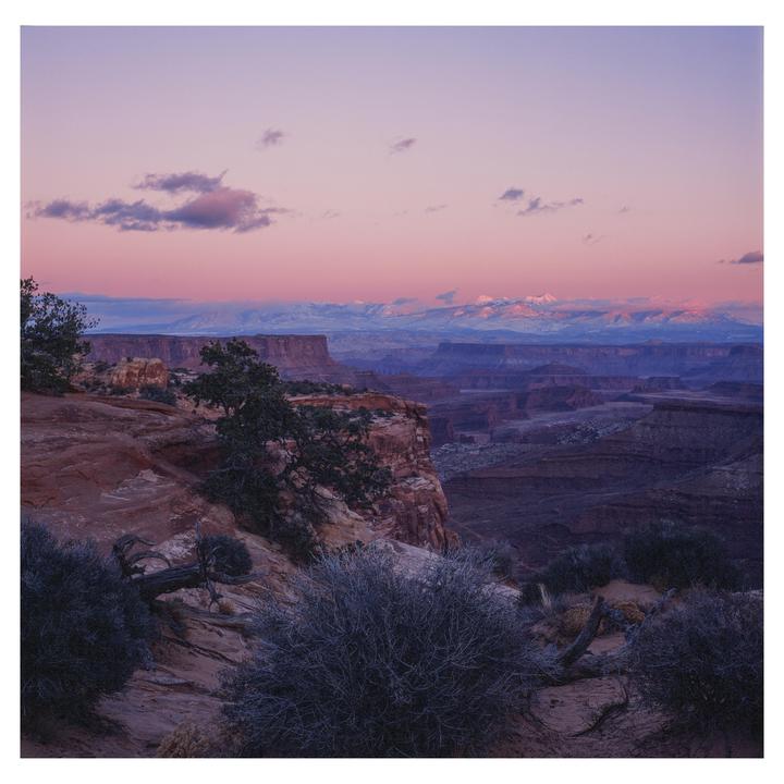 Provia Pink(hasselblad 501cm, 80mm cb and 150mm cf, provia 100f)