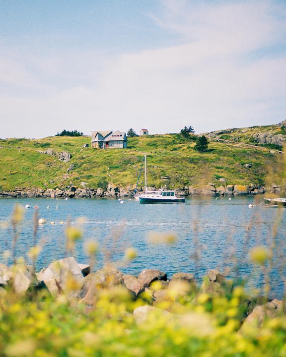 Maine Summer | Nikon FE2, Nikkor f/1.8, Kodak Portra 400