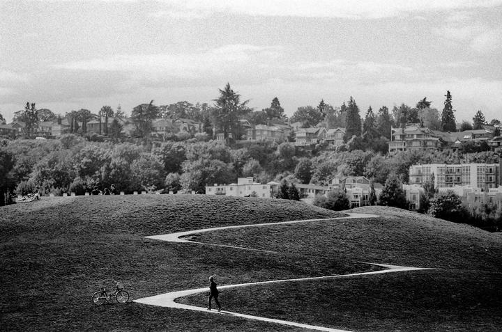 Up the Hill [EOS-1, 70-200mm, Ilford Delta 400+1]