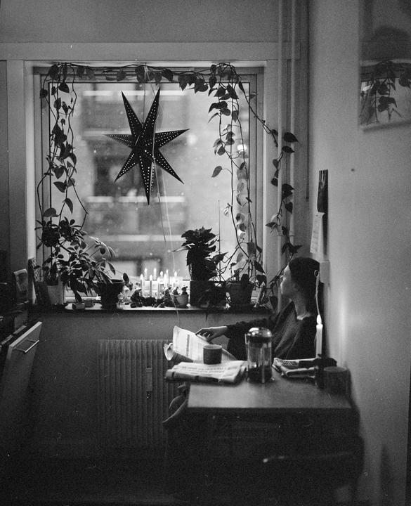 A woman sits at a desk reading a newspaper by candlelight, with a large star decoration and plants in the window.