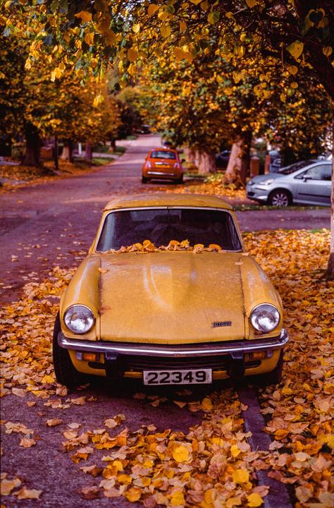 Autumn vibes