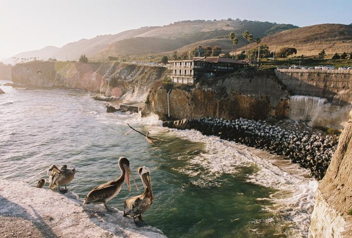 Pismo, CA (Nikon F100, Nikon AF 24, Portra 400)
