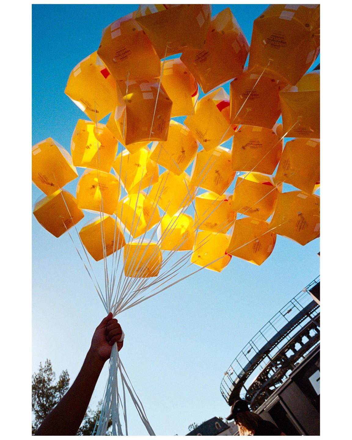 image 35860 by jrklbc