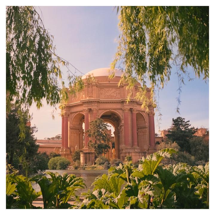 🌿 sf [ Yashica Mat 124g | fuji pro 400 ] Self-Scanned :)