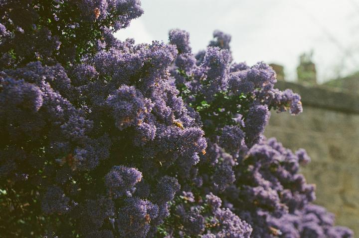 My first time doing any photography, using my granddad's old camera