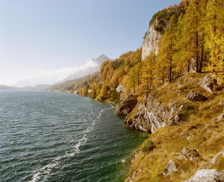 Lake Sils [Mamiya RZ67, Sekor Z 50mm f/4.5 W, Kodak Gold]