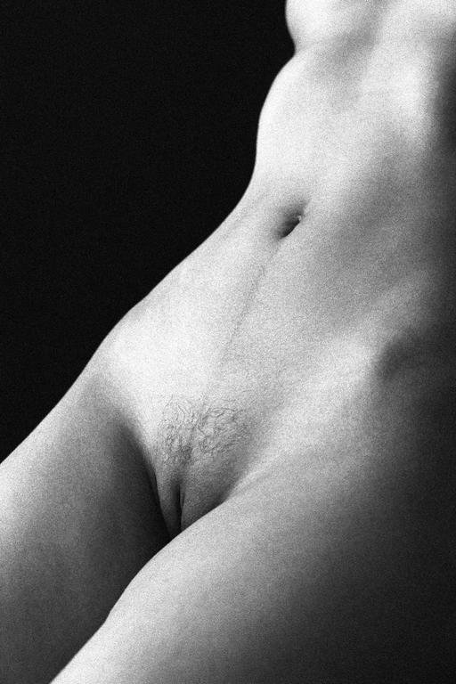 image 1441 by alizamanik