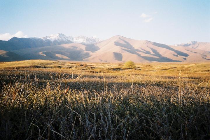 Expedition to Kyrgyzstan. Olympus XA (35 mm f/2.8) + Kodak ProImage 100 & Vision3 250D