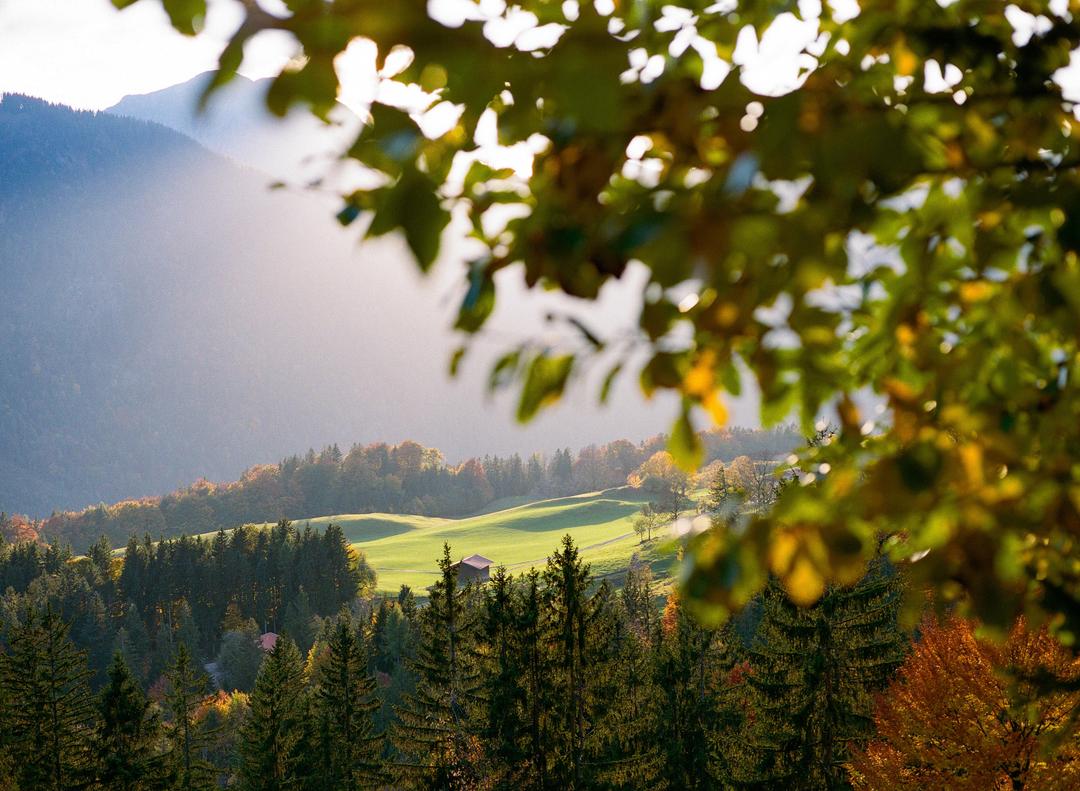 image 36191 by mikhailiuk