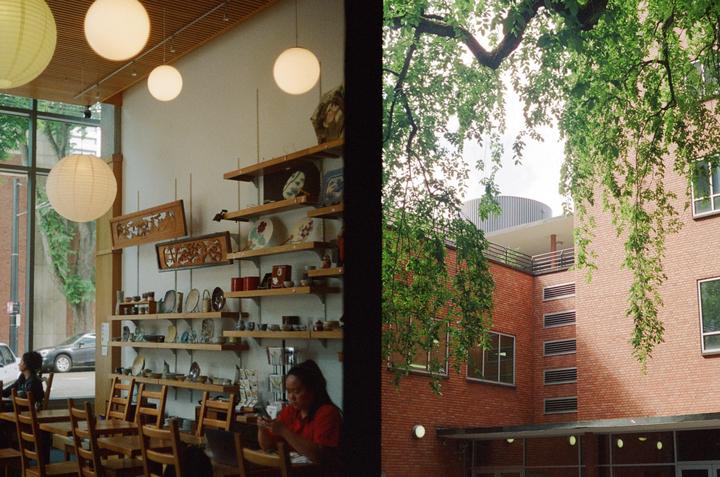 Been in love with my half-frame SLR. 🤍 Got a load of lab scans in this morning.(Olympus Pen FT; Kodak Gold 400)