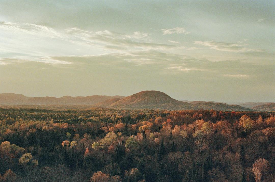 image 35949 by Positive-Presence192