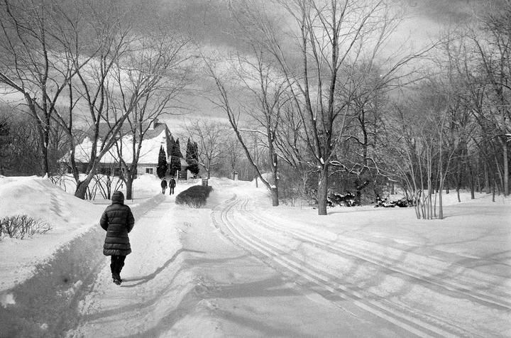 In praise of Fomapan 400, the film people love to hate.