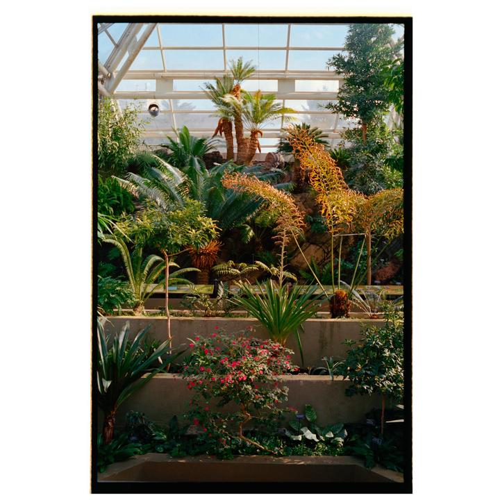 Brooklyn Botanic Garden | Canon EOS 1V | Porta 400