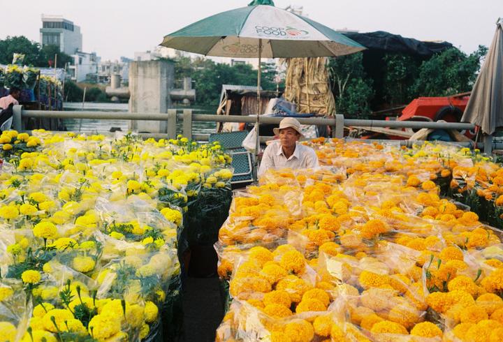 Lunar New Year Flower Market (Canonet QL17, Ultramax 400)
