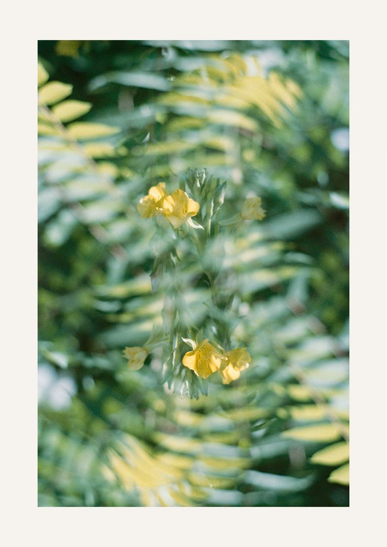image 34985 by too_many_lenses