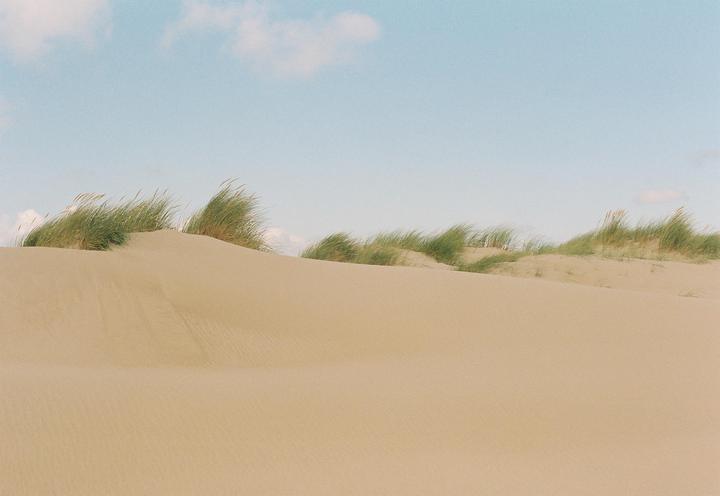 Duin | Portra 400 +2 | FL 55mm f1.2 | Canon F-1