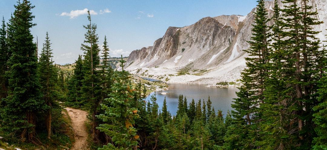 A panoramic landscape shows a dirt path winding through a forest of pine trees, with a lake and mountains in the background.