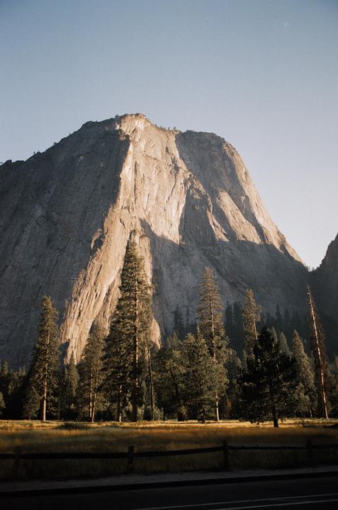 A large mountain with a sunlit face rises above a forest and a field of tall grass.