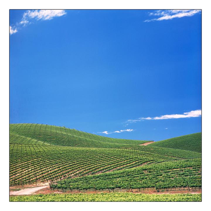 But we have Windows XP at home... [Hasselblad 500C/M | 50mm Distagon | Provia 100]