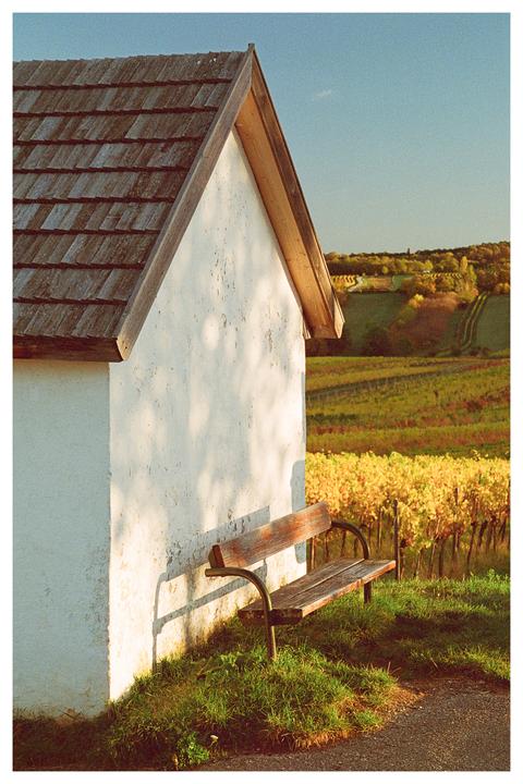 What a lovely place to take a break and enjoy the colors of fall during sunset [Nikon F100, Portra 800]