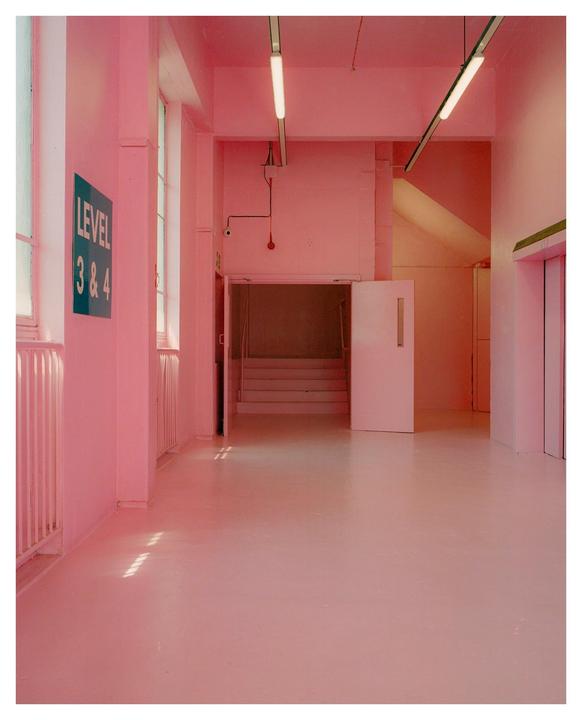 Monday Pink | Mamiya 7 | 65mm F/4 | Lomo CN 800