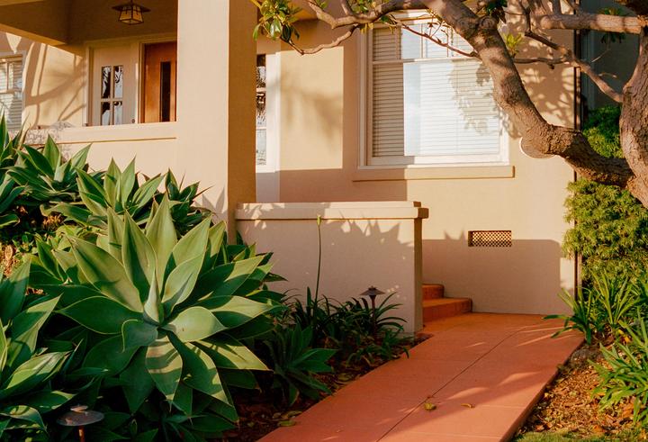 A house with agave plants and a tree in the foreground is illuminated by golden hour light.